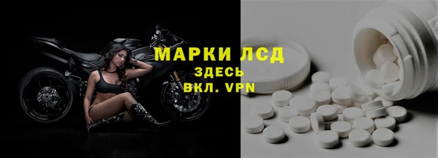 ПСИЛОЦИБИНОВЫЕ ГРИБЫ Магас