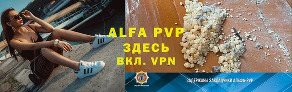 ПСИЛОЦИБИНОВЫЕ ГРИБЫ Магас